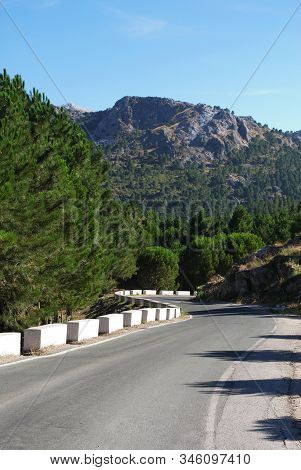 Winding Road Through The Mountains And Countryside Of The Sierra De Grazalema, Grazalema, Andalucia,