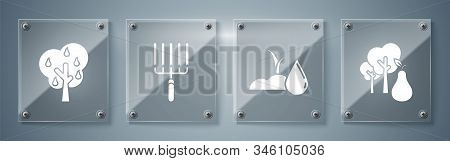 Set Tree With Pears, Watering Sprout, Garden Rake In Work And Tree With Pears. Square Glass Panels. 