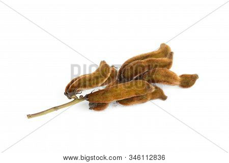 Mucuna Pruriens Or Velvet Bean Isolated On White Background, Tropical Herbs