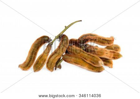 Mucuna Pruriens Or Velvet Bean Isolated On White Background, Tropical Herbs
