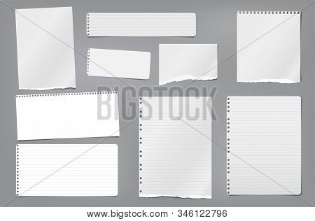 Torn White Blank And Lined Note, Notebook Paper Strips, Pieces And Sheeds Stuck On Dark Grey Backgro