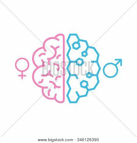 Brain. The Two Halves Of The Whole Brain Of Pink And Blue. Man And Woman Thinking Concept. Stock Vec