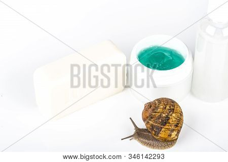 Cosmetics Organic Made With Slaver Of Snail, Very Good For Skin And Health And Fashion In Europe. Po