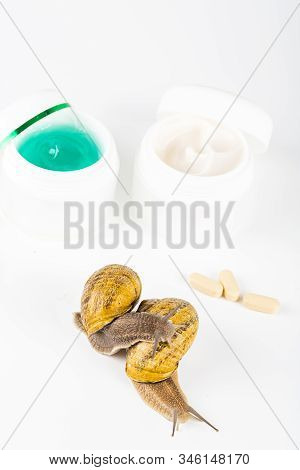 Cosmetics Organic Made With Slaver Of Snail, Very Good For Skin And Health And Fashion In Europe. Po