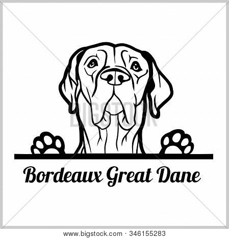 Dog Head, Bordeaux Great Dane Breed, Black And White Illustration