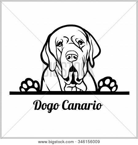 Dog Head, Dogo Canario Breed, Black And White Illustration