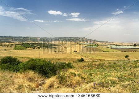 Rural Landscape Near Ginosa Di Puglia, Taranto, Apulia, Italy, At Summer.