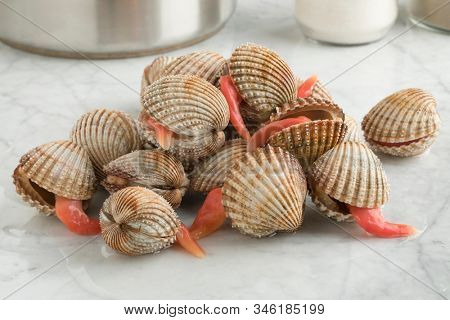 Heap of fresh Prickly cockles with an extending long foot for cooking
