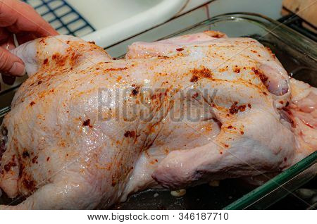 Raw Duck Carcass Is Rubbed With Spices. Cooking Process