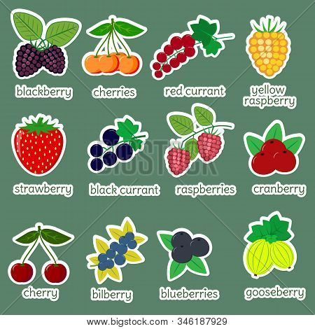 Sticker Collection Set Of Ripe Berries, Icon Of Twelve Elements In A White Stroke On A Green Backgro