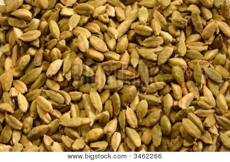 Cardamum