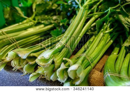 Fresh Organic Green Stem сelery For Sale On Sunday Farmers Market On Tenerife, Canary Islands, Spain
