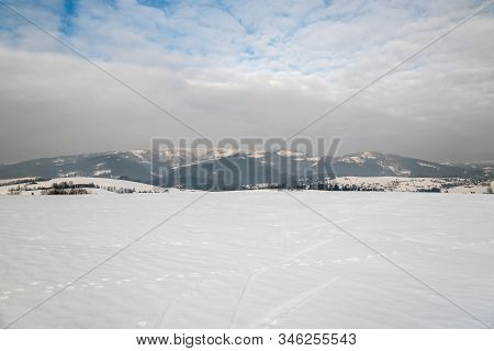 Winter Surrounding Of Bukovec Village In Easternmost Part Of Czech Republic With Snow Covered Meadow