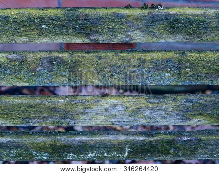 Horizontal Wooden Bars Covered In Mould And Moss