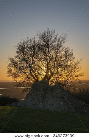 Sunset Viewed Through The Silhouette Of A Tree At Hadleigh Castle, Essex, England