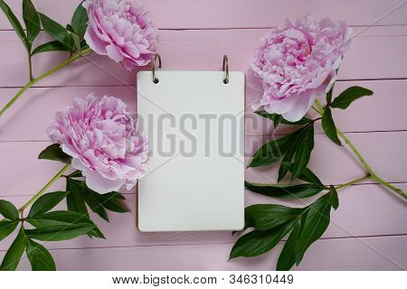 Peony Flowers. Spring Mood Flat Lay.floral Mockup.spring To Do List.blank Notebook, Peony Flowers An