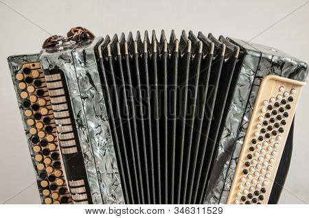 classical retro bayan (accordion), musical instrument 