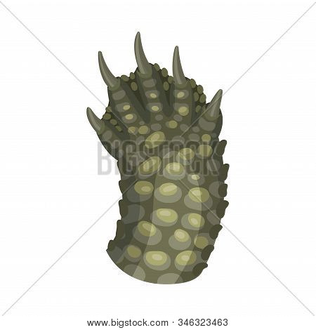 Animal Paw Isolated On White Background Vector Element. Pad With Sharp Claws
