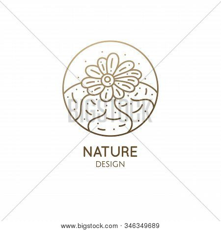 Cactus Logo Template. Lophophora Diffusa. Vector Round Emblem Of Blossoming Succulent. Garden Plants
