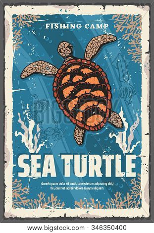 Vector Sea Turtle, Underwater Animal In Deep Sea Waters Among Coral Reefs. Turtle With Brown Carapac