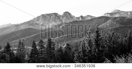 Tatra Mountains In Black And White - Rocky Summit Of Giewont