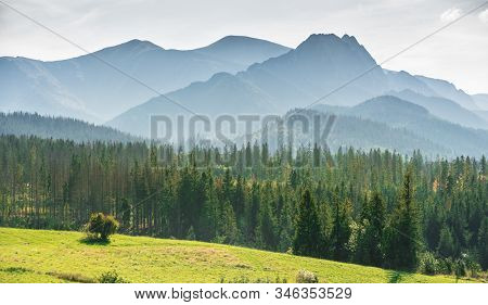 Misty Tatra Mountains - View From The Village Of Murzasichle