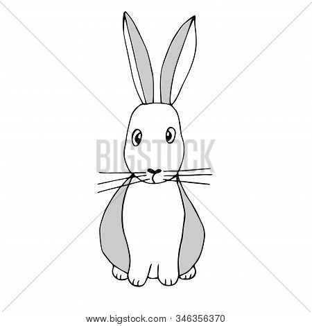 Vector Illustration Of A Cute Rabbit In White And Gray Colors
