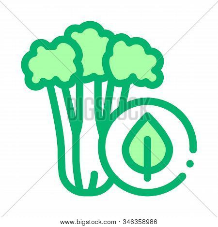Elery Plant Icon Vector. Outline Elery Plant Sign. Isolated Contour Symbol Illustration