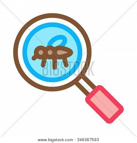 Mosquito Search Icon Vector. Outline Mosquito Search Sign. Isolated Contour Symbol Illustration