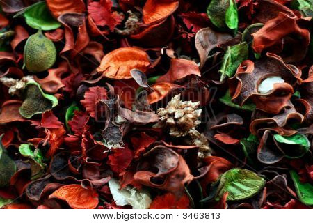 Potpourri