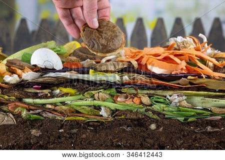 Male Hand Adding A Biodegradable Coffeepad To A Colorful Compost Heap Consisting Of Rotting Kitchen 