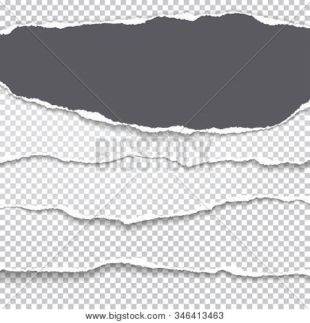 Torn, Ripped Pieces Of Horizontal Blackand White Paper With Soft Shadow Are On Grey Squared Backgrou