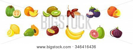 Cartoon Tropical Exotic Fruits Set On White Background