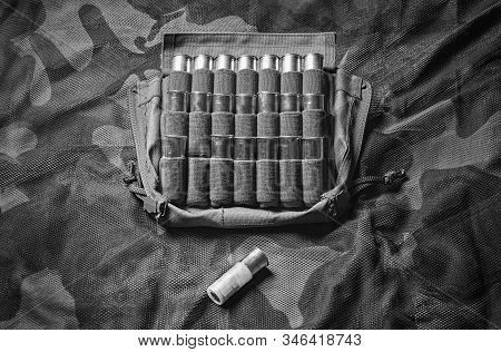 Set Of Cartridges For A Shotgun. One Cartridge Is Higher Than The Rest In The Case. Business Concept