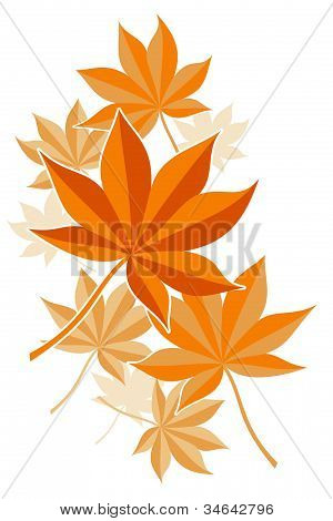 Autumn klonowe listowie