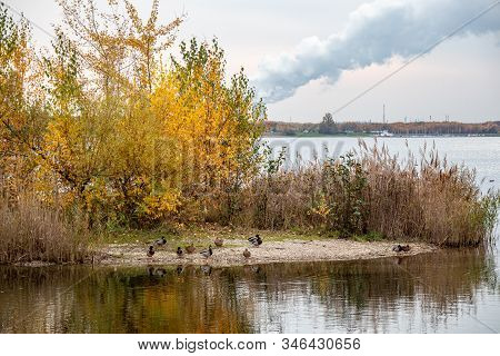 Autumnal View From Lake Cospudener See A Former Brown Coal Opencast Mine In The South Of Leipzig In 
