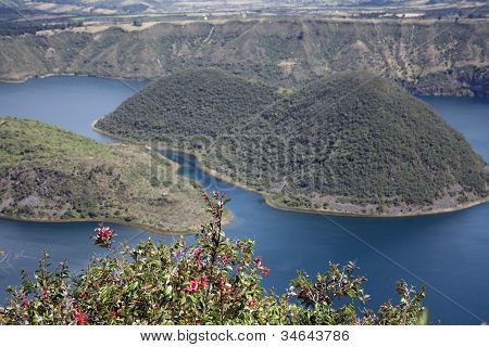 Lake Cuicocha through flowers