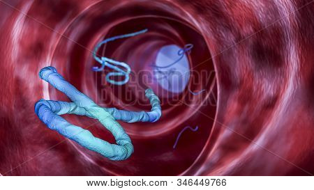 Ebola Virus In A Microscope Inside A Body - 3d Render