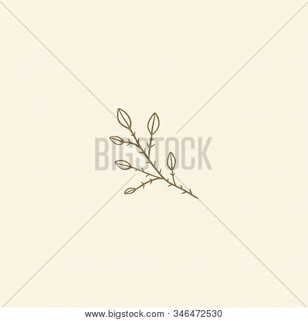 Line Art Branch. Eology, Vegan Concept. Green Life And Ecology Subject. Good For T-shirt Prints, Log