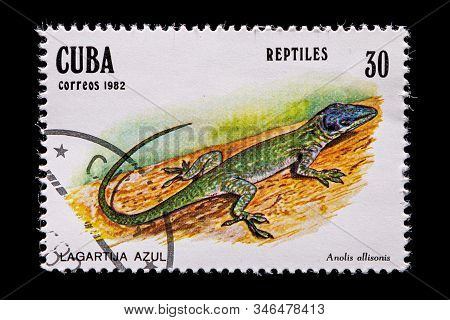 Novosibirsk, Russia - January 07, 2020: Stamp Nature Collection Printed In  Cuba  Shows Lagartija Az