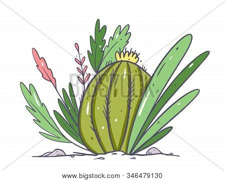 Cactus And Plants In The Soil. Hand Drwan Vector Illustration. Isolated On White Background.