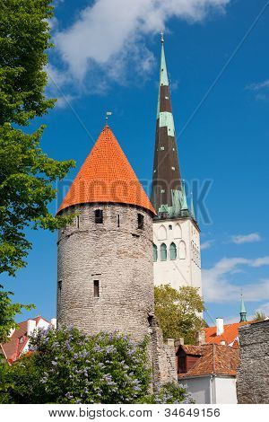 Pohled na staré město Tallin