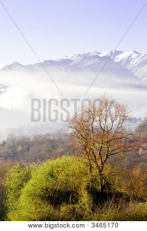 Paesaggio nebbioso