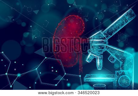 Human Kidneys Medicine Microscope Research Concept. Medical Help Therapy Analysis Treatment. Urinary