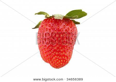 Jordgubb
