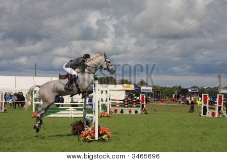 Hest springning