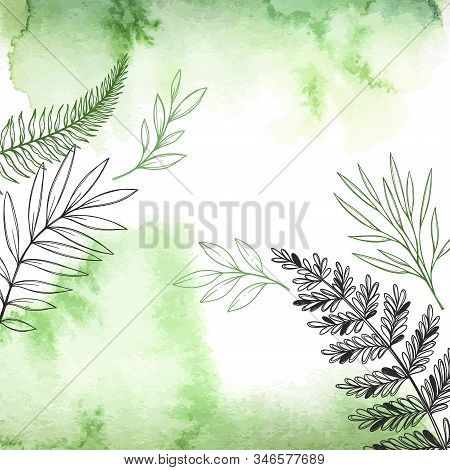 Vector Watercolor Illustration. Spring Is Coming. Botanical Frame With Green Watercolor Background, 