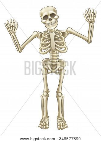 Friendly Cartoon Skeleton Mascot Or Halloween Character Waving Both Hand