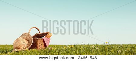 Picnic on Meadow,Copy space for your text.