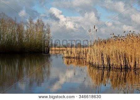 Picturesque Landscape With Clouds, Reed, Water End Trees